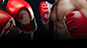 Night of Knockouts XXXVII